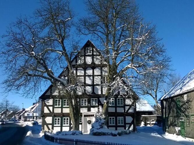 Home In Wissinghausen With Private Sauna เมเดบาค ภายนอก รูปภาพ